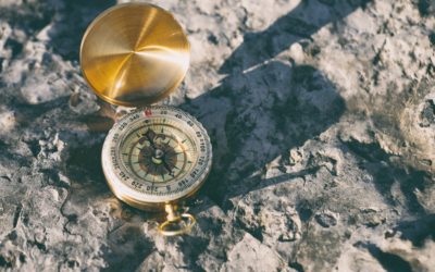 TCW – Q3 2021 Talking Points
