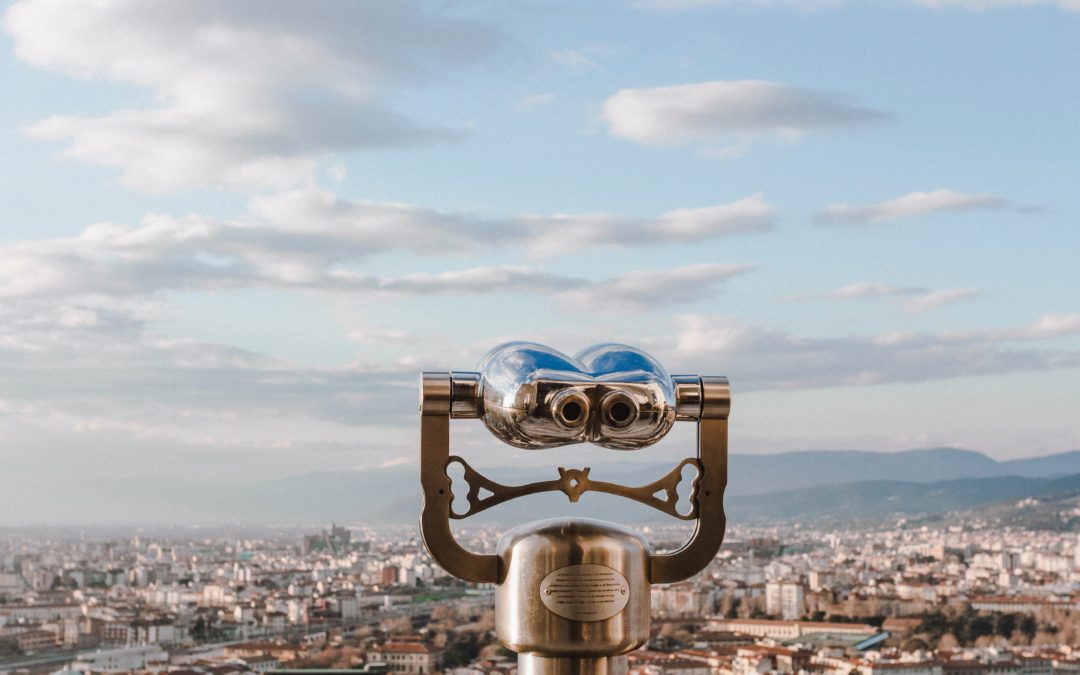 Prosper Global Macro – Perspectives du gérant – 2020