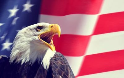 Prosper Stars & Stripes – Citywire Selector – Février 2020