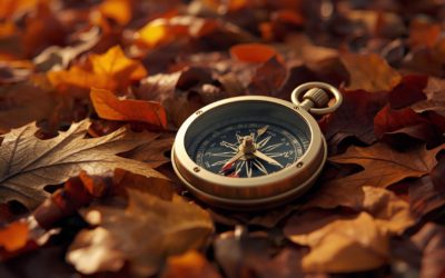 TCW – Q3 2025 Talking Points