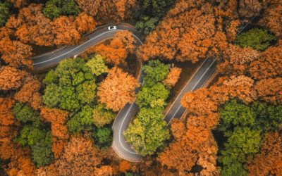 Prosper Stars & Stripes  – Présentations – 27 & 28 janvier 2026